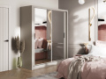 Шкаф-купе Дрим Шкаф-купе Дрим