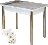 Стол Квинс 800*580(1160)*750 фотопечать Цветы 029/опора хром снят