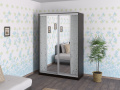 Шкаф-купе 2.9 Шкаф-купе 2.9