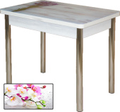 Стол Смарт фотопечать орхидея 0195/бетон белый/опора хром