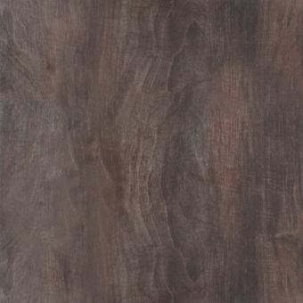 Дуб кальяри